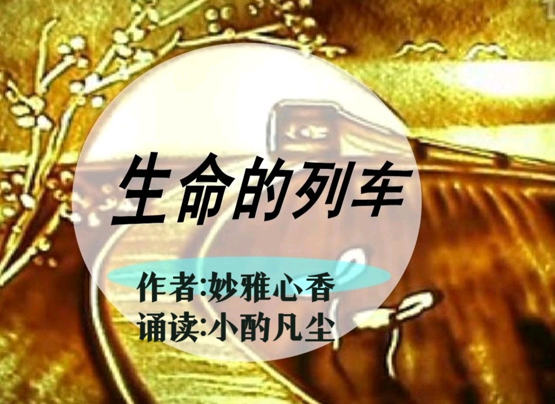 【雅诗总会】生命的列车‖作者:妙雅心香&诵读:小酌凡尘(王秀芬)(图2)