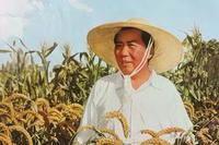 【北京头条】分享优秀诗人何正扬老师组诗请欣赏（图4）
