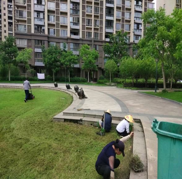 大渡口南郡水岸.瑞和物业奋力开创物业管理新局面一一2022年工作回眸(图11)