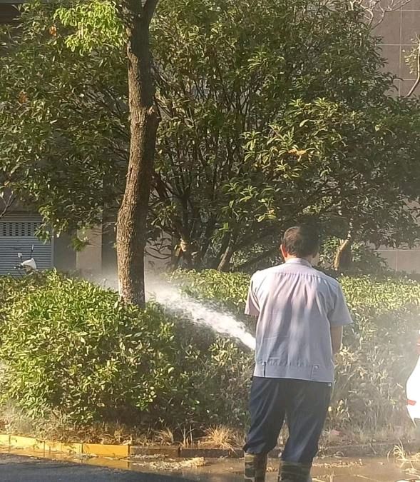 大渡口南郡水岸.瑞和物业奋力开创物业管理新局面一一2022年工作回眸（图12）