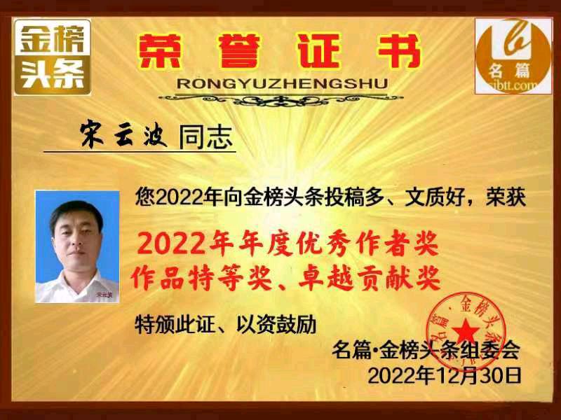 【北京头条】分享优秀作家诗人宋云波老师诗两首请欣赏（图11）