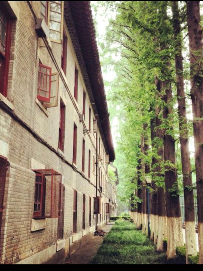 欣赏佳作《大学回眸专集》(诗词三十四首) 诗人:李胜峰(图4)