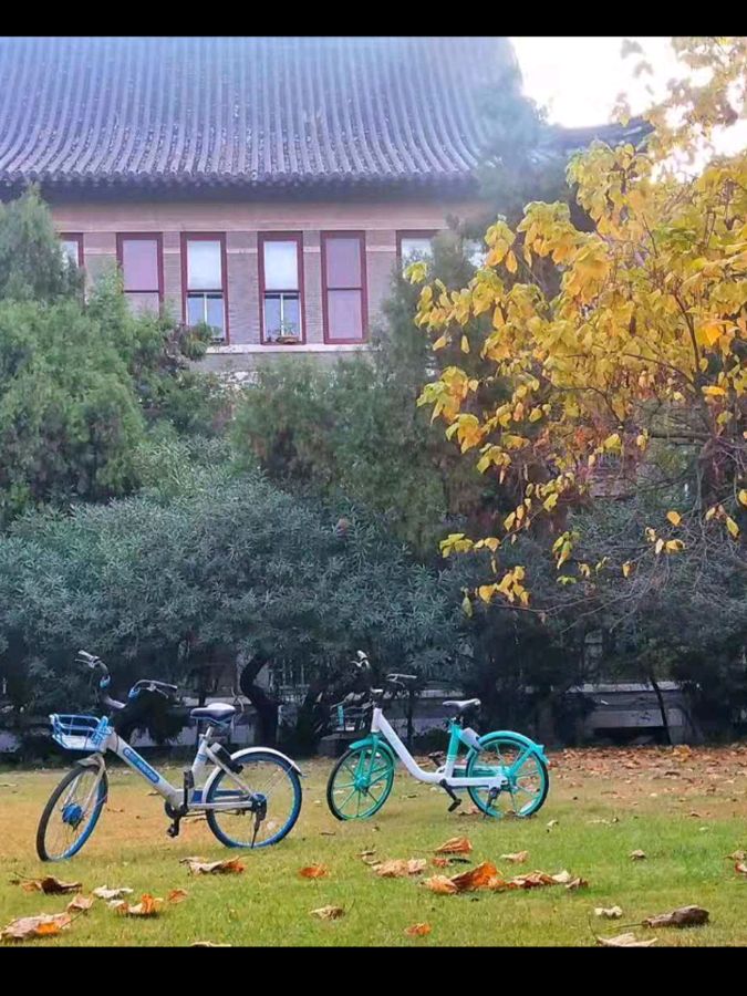 欣赏佳作《大学回眸专集》(诗词三十四首) 诗人:李胜峰(图8)