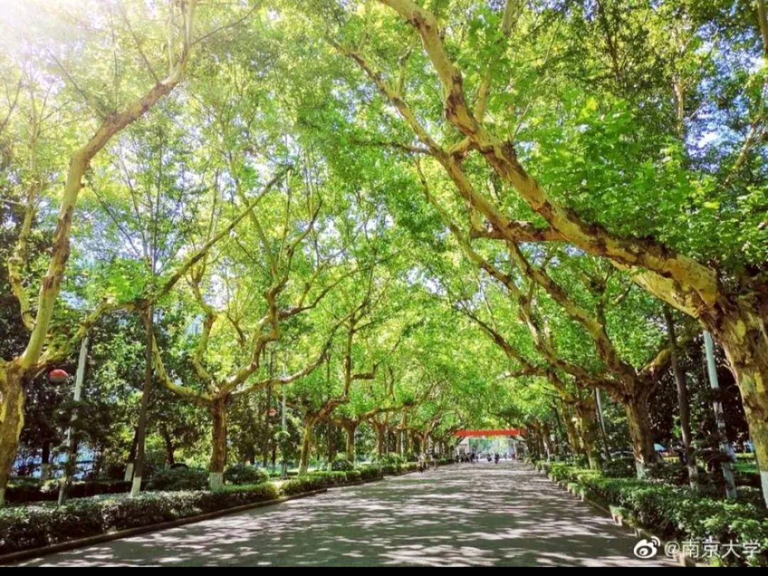 《七律 胡某宇失踪沉思》作者:吴云钦(图3)
