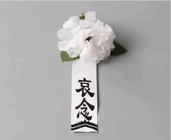 五言排律. 深切悼念赵警官希春同志(通韵)/毕寿延