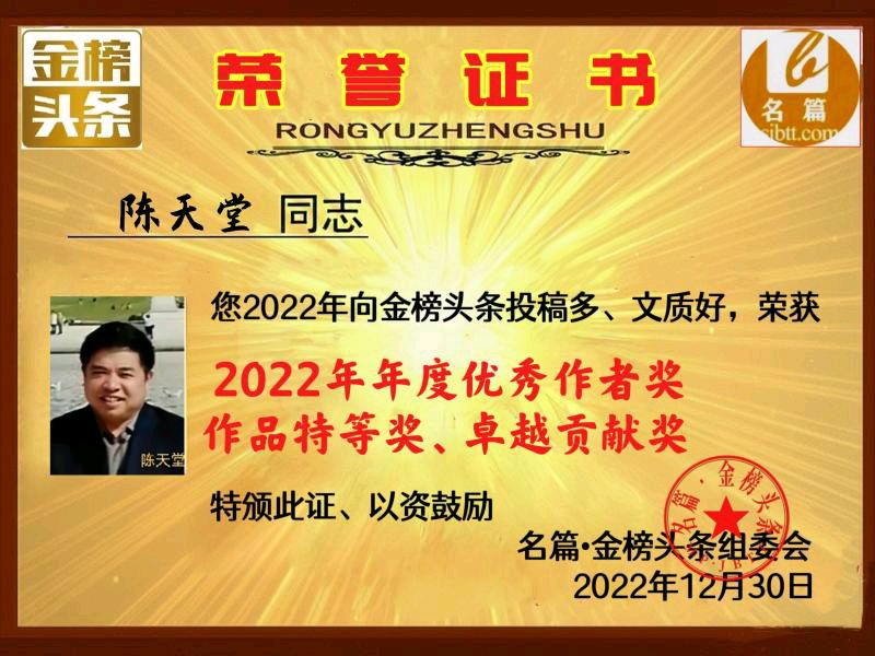 【北京头条】分享优秀作家诗人陈天堂老师《冬思》四首请欣赏（图10）