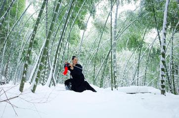 【中国齐鲁风】分享青竹《水仙花》外文一篇请欣赏(图6)