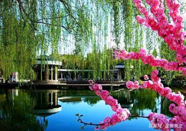 【北京头条】分享(北京)优秀诗人张靖华老师诗词一组请欣赏(图16)