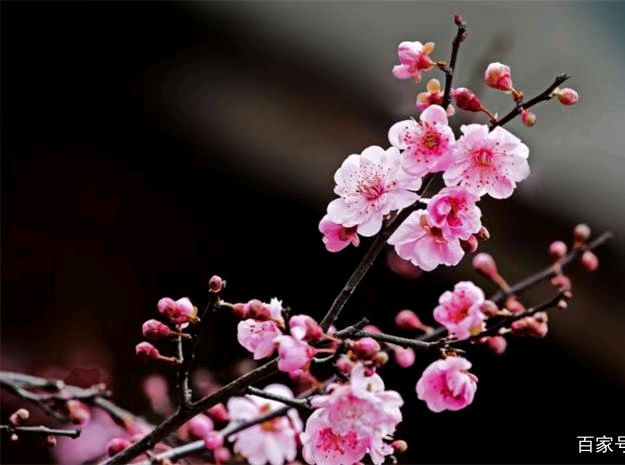【北京头条】分享(北京)优秀诗人张靖华老师诗词一组请欣赏(图15)