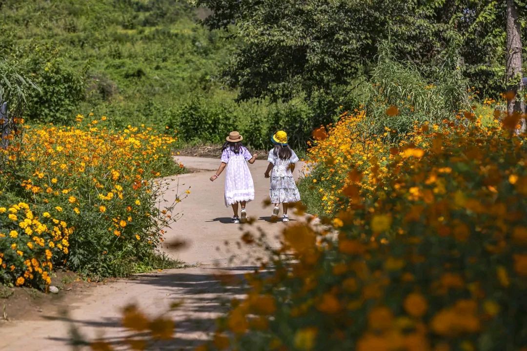 分享天涯客新词蝶恋花一组请您欣赏（图7）