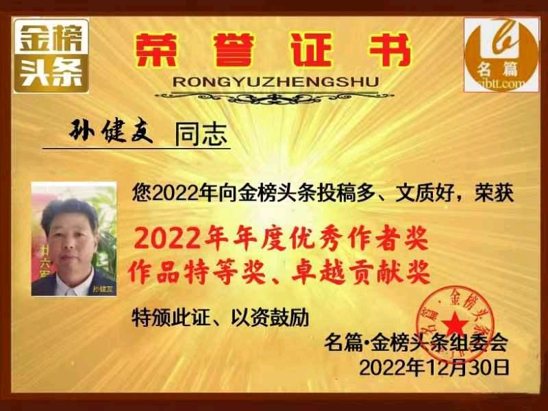 分享优秀诗人孙健友诗词三首请欣赏（图14）