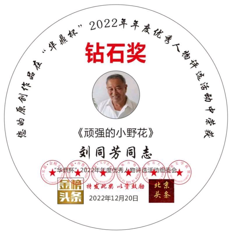 【中国齐鲁风】分享优秀诗人刘同芳老师《古风•玫园咏雪》请欣赏（图13）