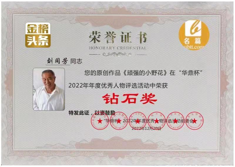 【中国齐鲁风】分享优秀诗人刘同芳老师《古风•玫园咏雪》请欣赏（图11）