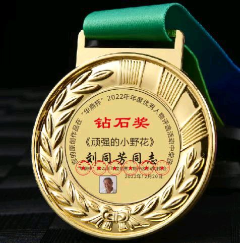 【中国齐鲁风】分享优秀诗人刘同芳老师《古风•玫园咏雪》请欣赏（图12）