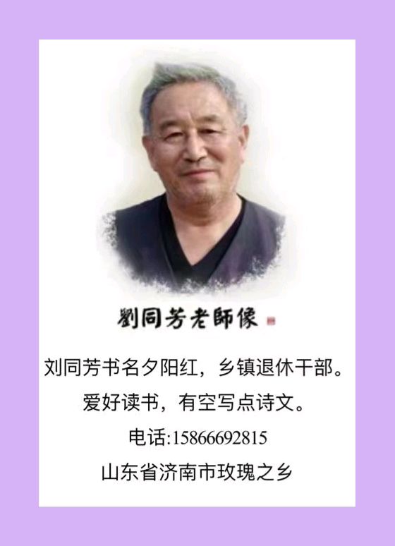 【中国齐鲁风】分享优秀诗人刘同芳老师《古风•玫园咏雪》请欣赏（图9）