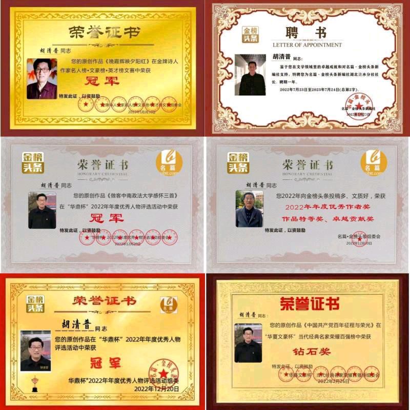 《辞旧迎新望丰年》作者／胡清普 请欣赏（图11）