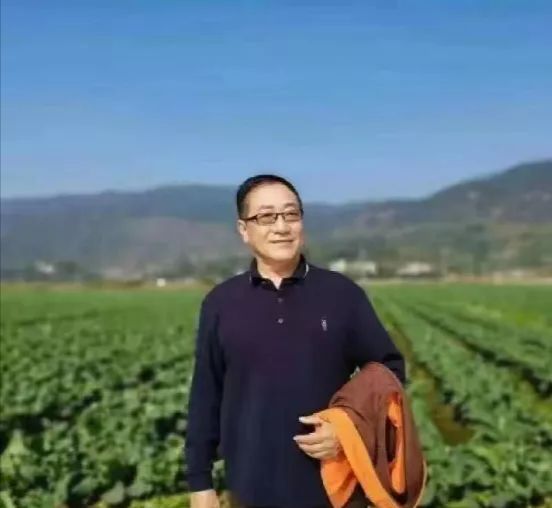 兔年说兔/书乐（图5）