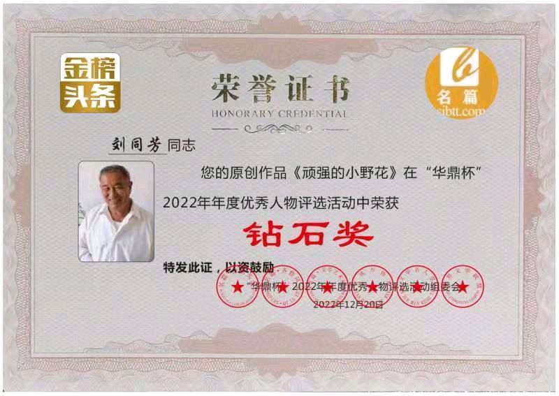 【古风•难忘今宵】作者／优秀诗人刘同芳老师请欣赏（图10）