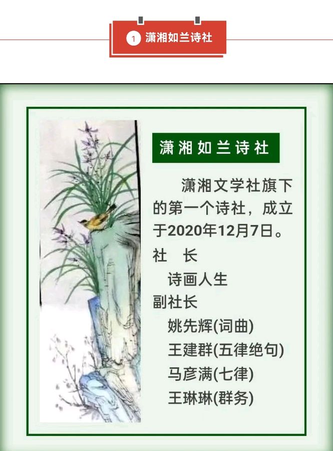 【潇湘文学社】《总540期》编委专刊(图11)