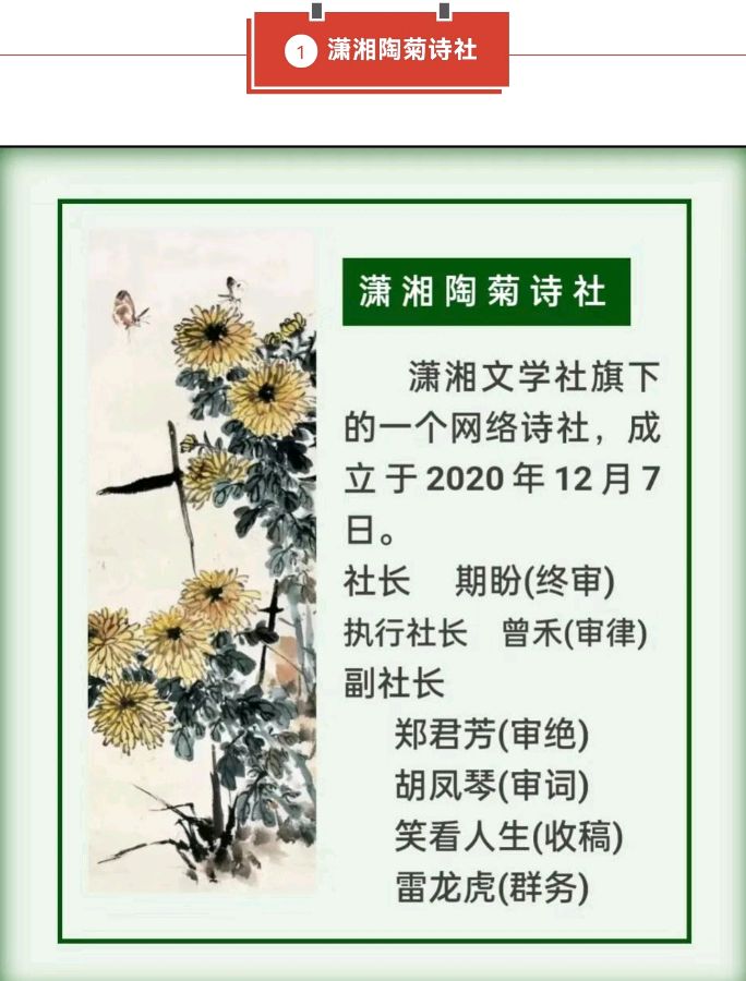 【潇湘文学社】《总540期》编委专刊(图18)