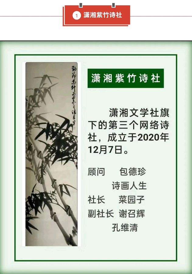 【潇湘文学社】《总540期》编委专刊(图25)