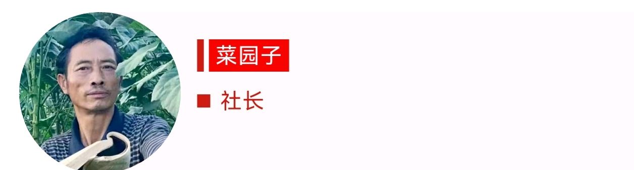 【潇湘文学社】《总540期》编委专刊(图26)