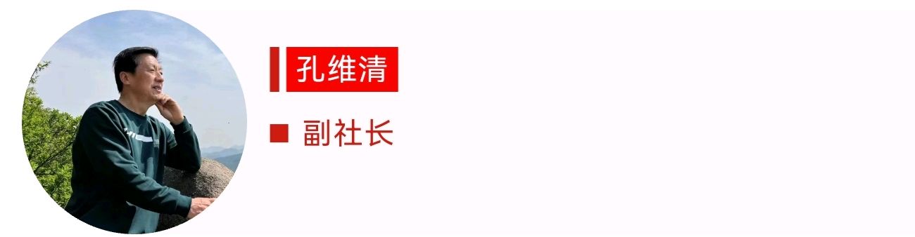 【潇湘文学社】《总540期》编委专刊(图28)