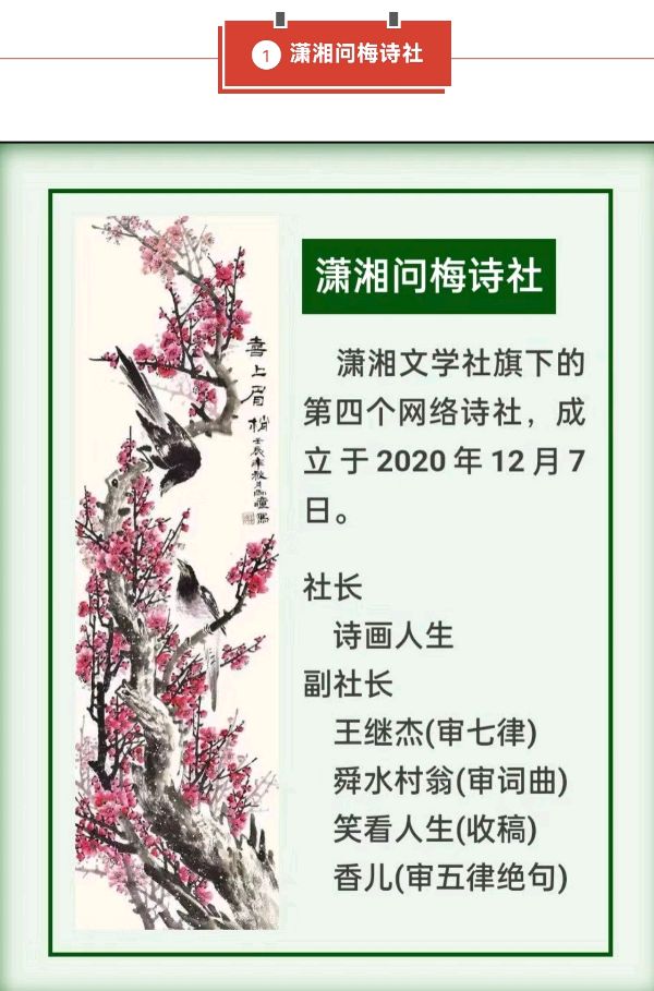 【潇湘文学社】《总540期》编委专刊(图32)