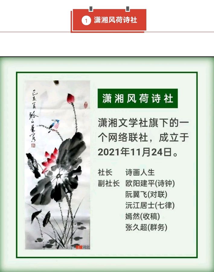 【潇湘文学社】《总540期》编委专刊(图41)