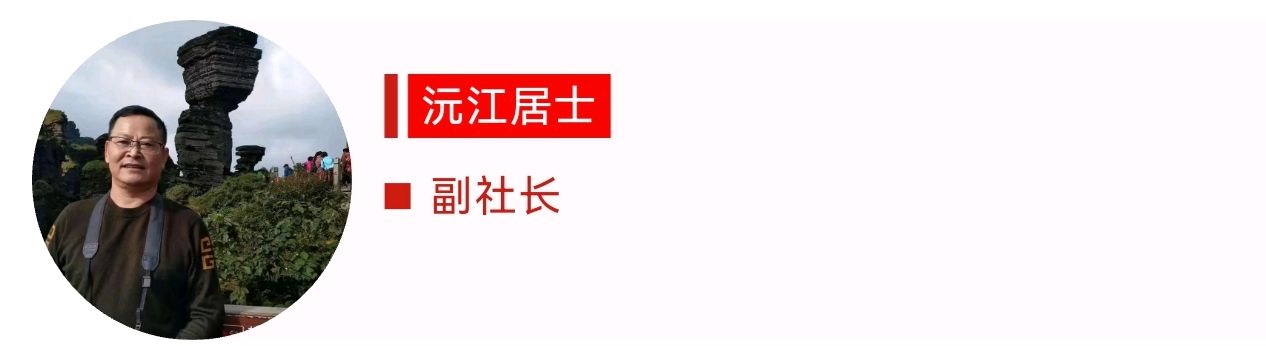 【潇湘文学社】《总540期》编委专刊(图44)