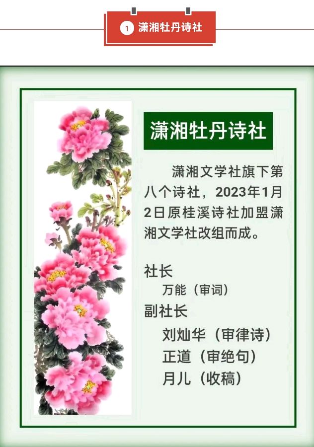 【潇湘文学社】《总540期》编委专刊(图68)