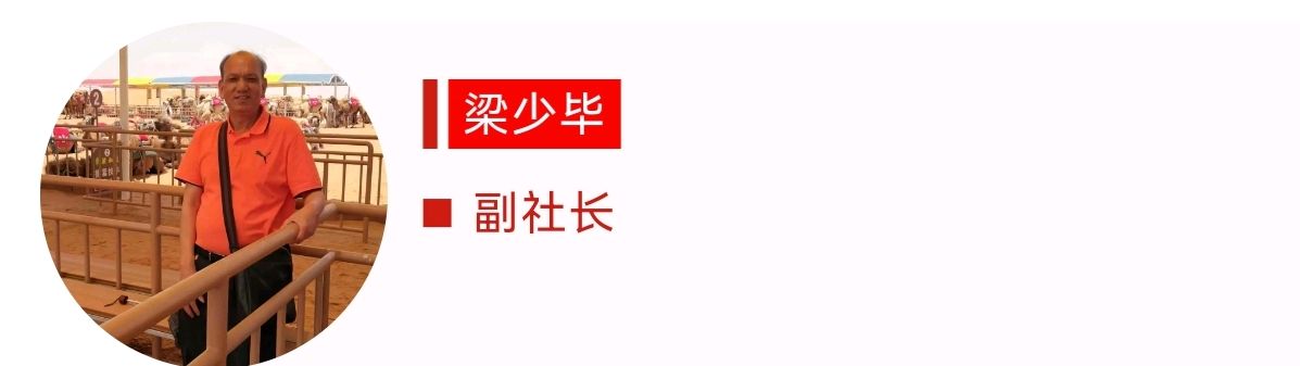 【潇湘文学社】《总540期》编委专刊(图64)