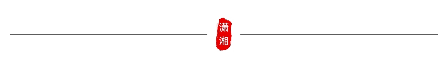 【潇湘文学社】《总540期》编委专刊(图8)