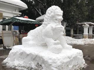 【早花迎春】一组／作者／（山东）优秀诗人沈沛忠老师请您欣赏（图19）