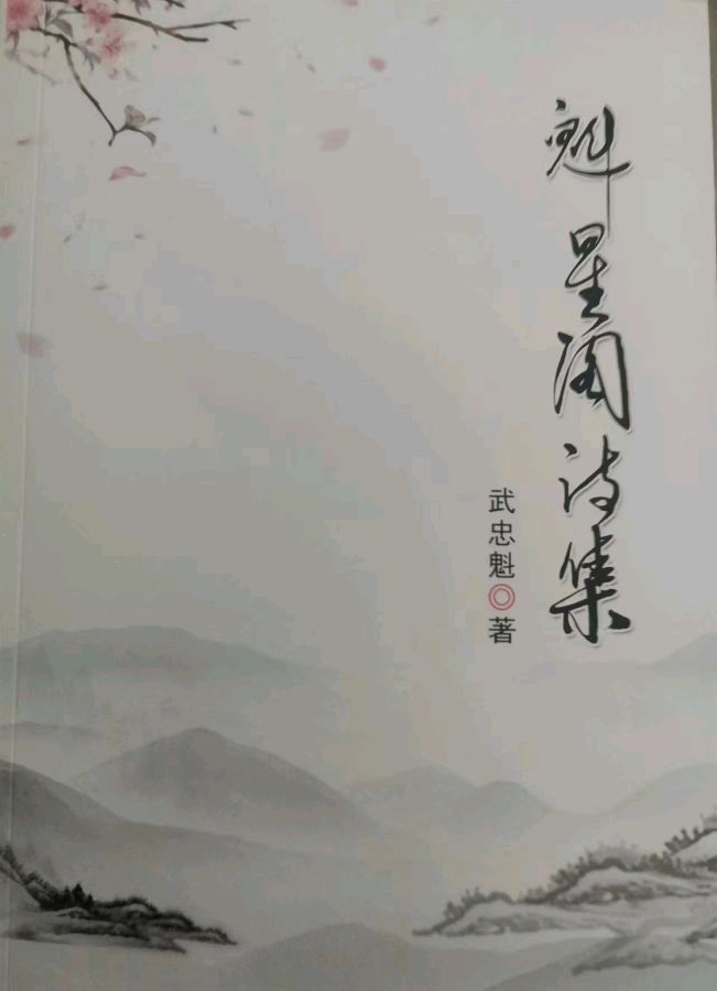 武忠魁诗词一组请欣赏(图8)