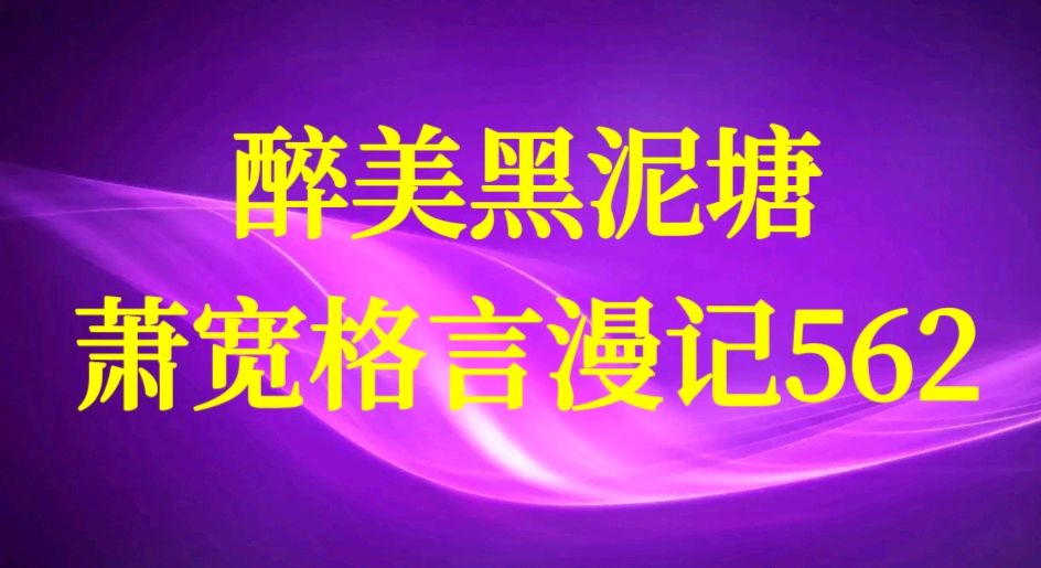 【雅诗总会】醉美黑泥塘:艺术家萧宽格言漫记562(图2)