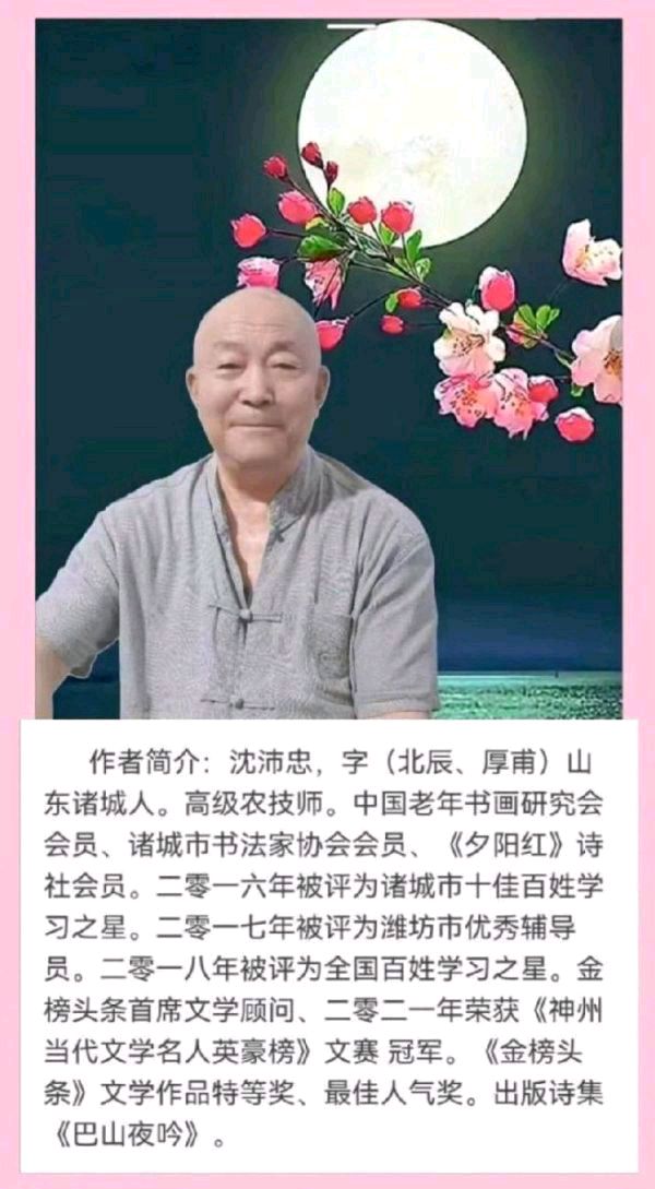 大年吉祥／作者／优秀诗人沈沛忠老师请欣赏（图12）