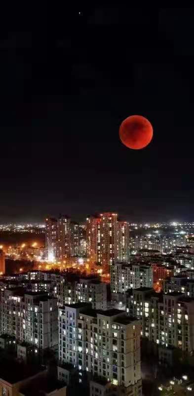 【自由体新诗】《夜与梦》诗人：郑金波（图4）