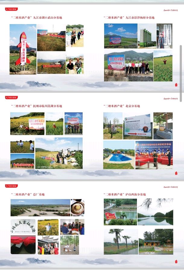 全球易与太空一粒米二塘米酒产业战略合作【雅诗总会】(图21)