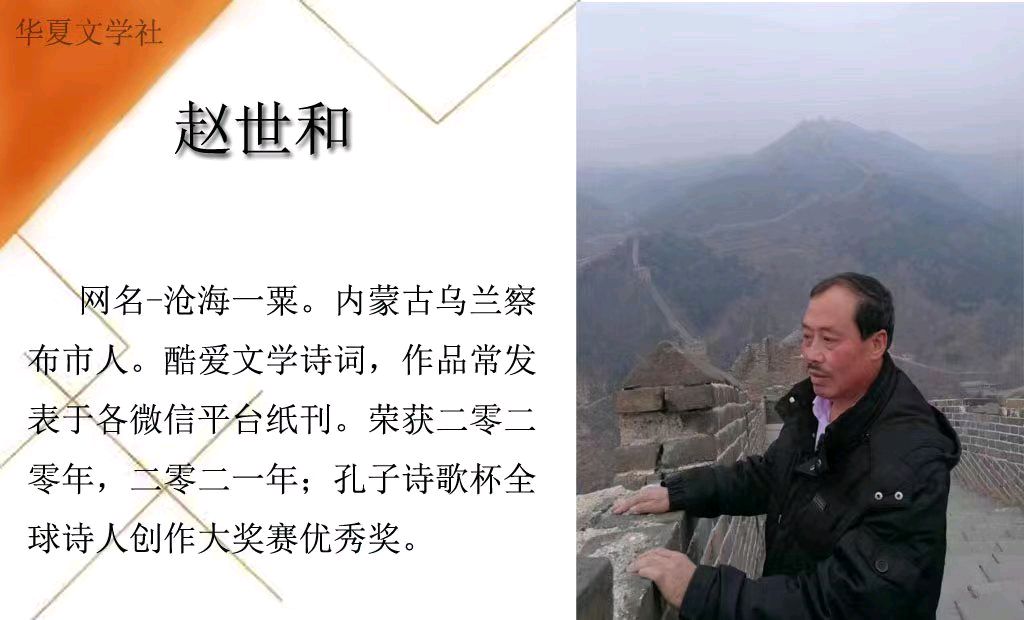 天净沙•回家过年/赵世和（图3）