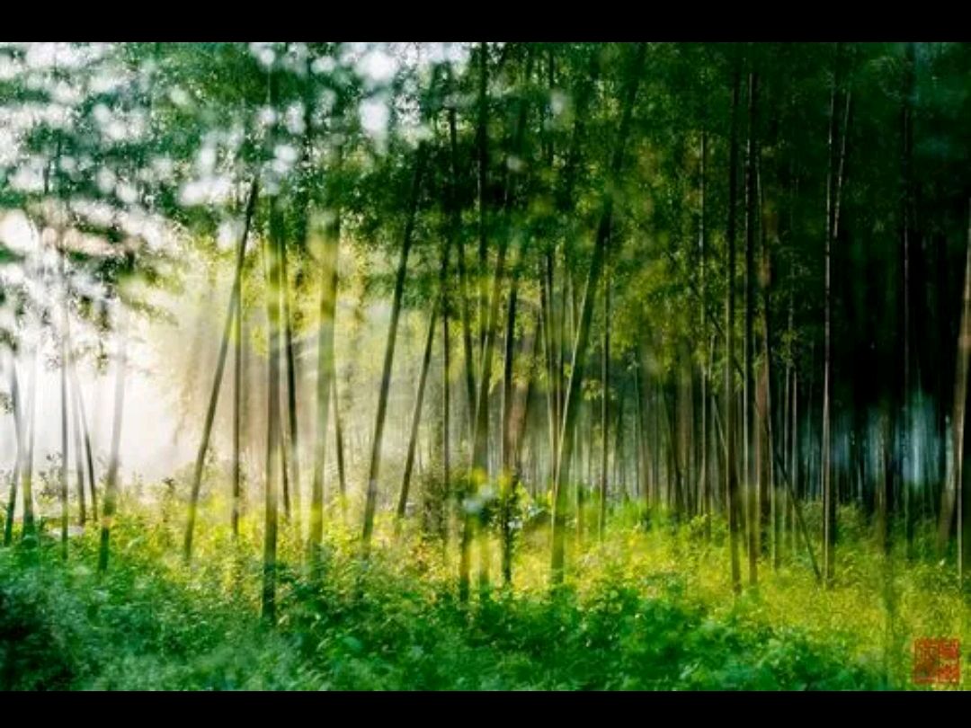 《七律 葛溪八甲文化宫庆典有感》作者：吴云钦(江西)（图5）