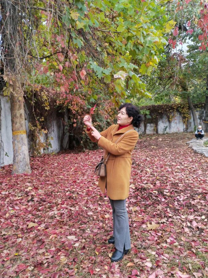 隆重推出袁艳欣老师诗词欣赏!(图3)