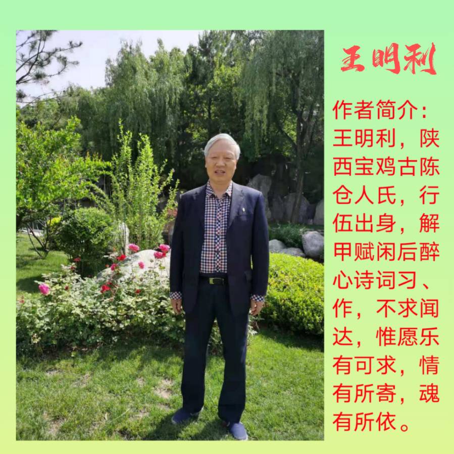七律 . 题游子春节返乡图文/王明利（图3）