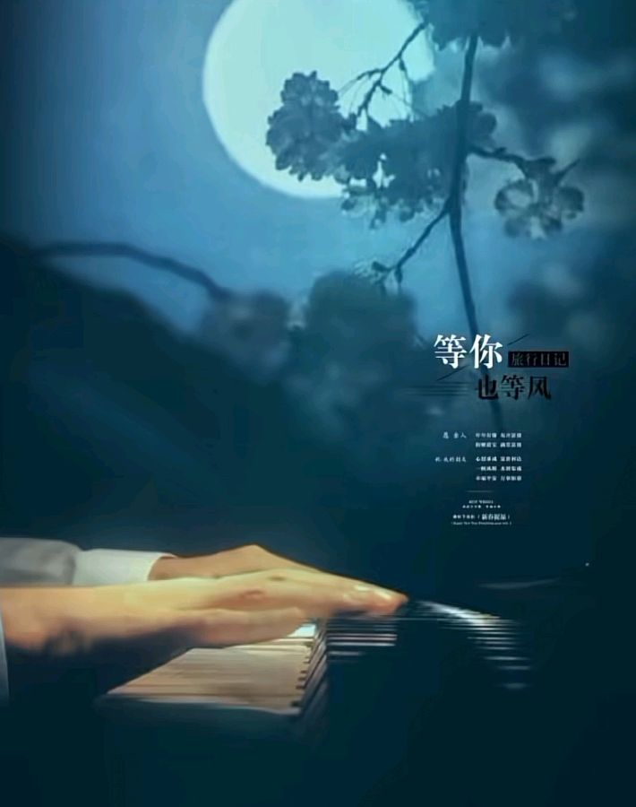夜的海棠/作者/袁海参