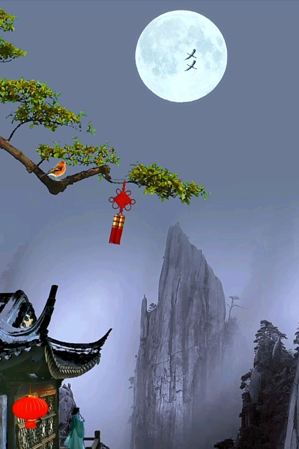 夜的海棠/作者/袁海参（图2）