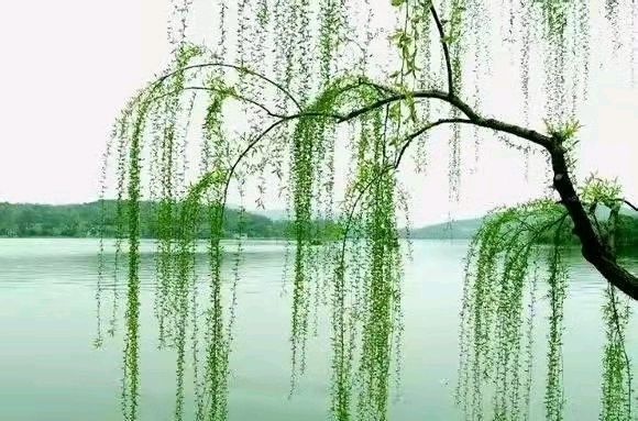 著名诗人王慧生老师佳作欣赏（图2）