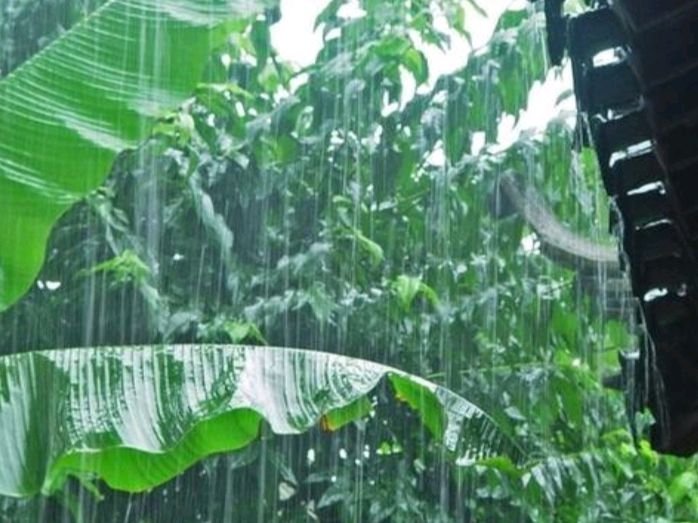 著名诗人—张敬之专辑《雨打芭蕉组诗17首》（图8）