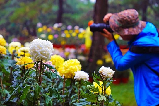 【花雨馨声迎新春闹元宵】联欢晚会专刊一《迎新贺岁》作者/郑占荣 诵读/冬日艳阳 【第199期】（图2）