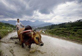 【最勤奋的中国人】作者／优秀作家诗人方亮老师请欣赏（图5）