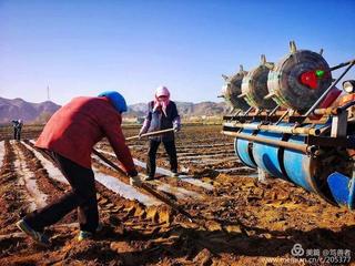 【最勤奋的中国人】作者／优秀作家诗人方亮老师请欣赏（图4）